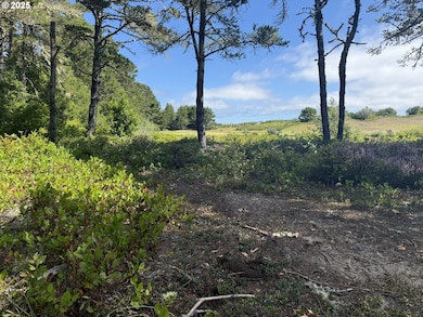 0 Troon Cir unit 500 449372270, Florence, OR 97439 - photo 7