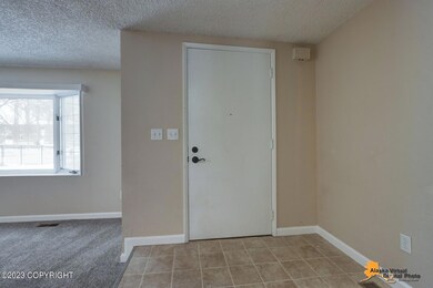 AVDP06 (68)