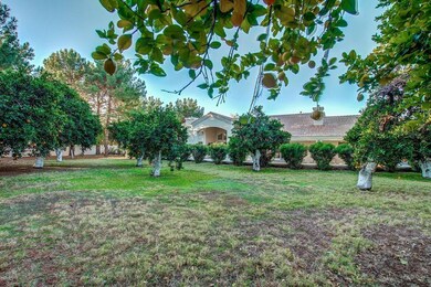Expansive, Private Backyard