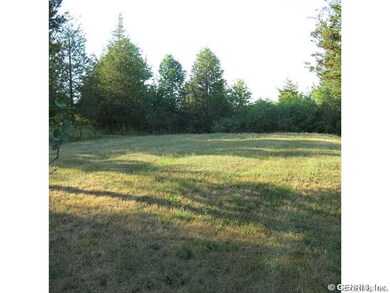 Other. North lawn - location of raised leach bed
