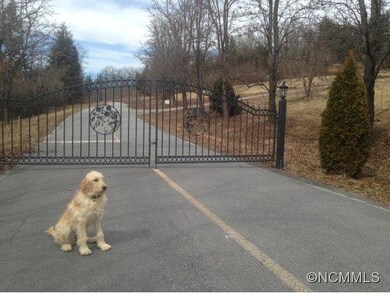 999 Chimney Rock Rd, Hendersonville, NC 28792 - photo 3