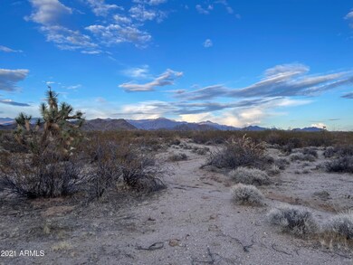 3503 S Lone Ranger Rd unit 3503, Yucca, AZ 86438 - photo 4