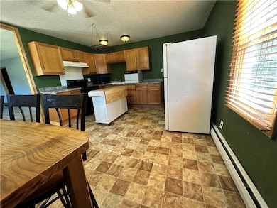 218 S Pine St, Pana, IL 62557 - photo 3