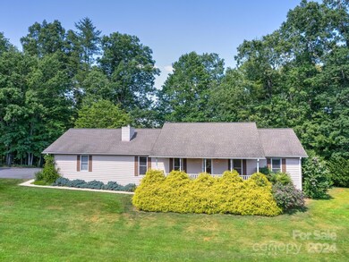 60 Sherry Ln, Leicester, NC 28748 - photo 3