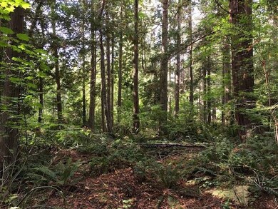 Lot 15 Park Dr, Point Roberts, WA 98281 - photo 3
