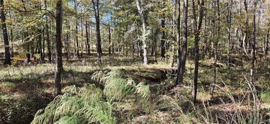 411 Pugh Rd, Mathews, AL 36052 - photo 7