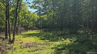 1021 Sedar Hill(parcel D) Rd unit (Parcel D), Calumet, MI 49913 - photo 4