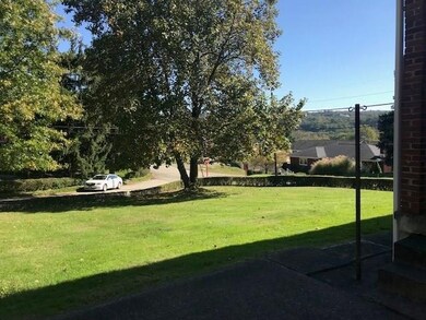 The biggest yard in Blawnox!  Flat and spacious!  