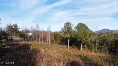 dji_fly_20250125_154552_693_173784092176