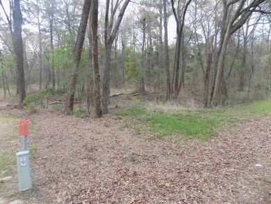 0 Shilling Rd, Texarkana, TX 75503 - photo 4