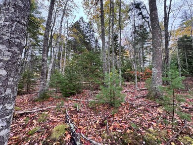 0 Graham Way, Ellsworth, ME 04605 - photo 6