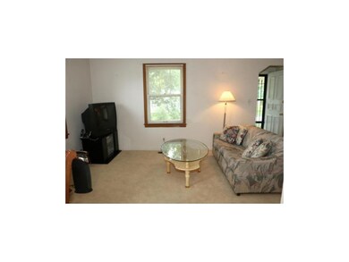 Living Room: 2 Single Windows with Blinds, 18.6 x 