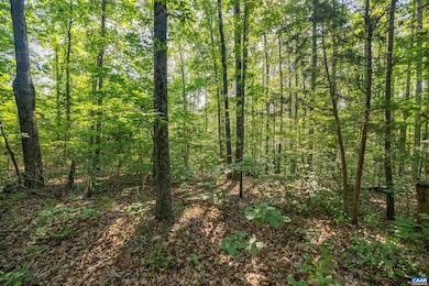 Lot 2 Stag Rd, Bremo Bluff, VA 23022 - photo 7