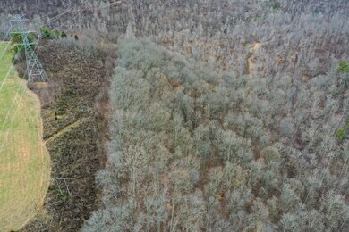 385 Pole Ridge Rd, Somerset, KY 42501 - photo 4