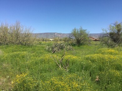 IMG_0171