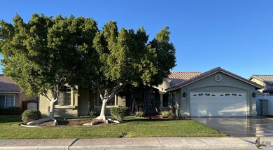 Matured trees