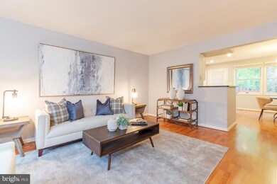 5027 9th St S, Arlington, VA 22204 - photo 6