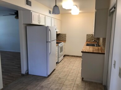 17409 N 102nd Dr, Sun City, AZ 85373 - photo 2