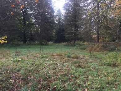 1060 Indian Springs Rd, Indiana, PA 15701 - photo 3