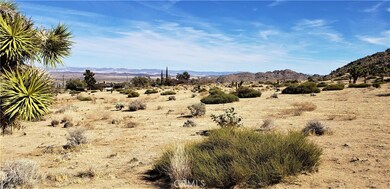 8000 Wesley Rd, Joshua Tree, CA 92252 - photo 6