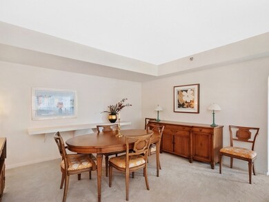 250 Hammond Pond Pkwy unit 115N, Chestnut Hill, MA 02467 - photo 7
