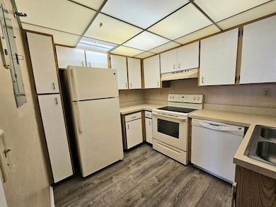 Kitchen-New Luxury Vinyl Flooring