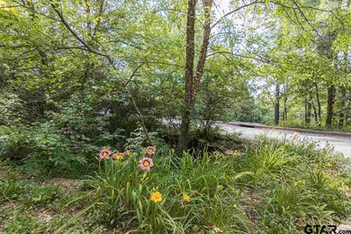 5908 Brixworth Dr, Tyler, TX 75703 - photo 3