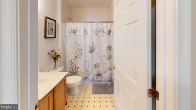 8509 Hillview Rd, Hyattsville, MD 20785 - photo 4