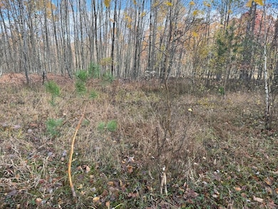 00 Carnes School Rd Lot unit WP001, Cranberry, PA 16319 - photo 5