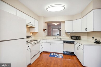 8511 Chapman Oak Ct, Springfield, VA 22153 - photo 5