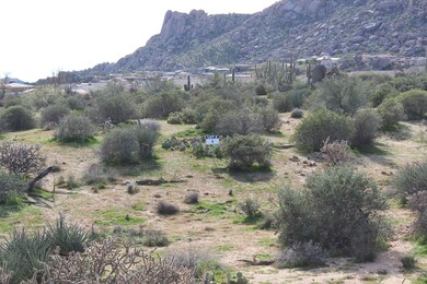 Lot 8