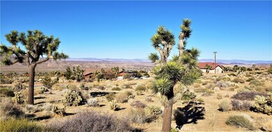 7900 Wesley Rd, Joshua Tree, CA 92252 - photo 4
