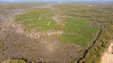 0 Old Highway 18 unit RTC2588351, Stewart, TN 37175 - photo 3