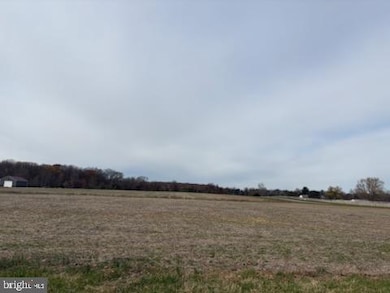 343 Thorntown Rd, Middletown, DE 19709 - photo 6