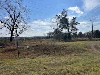 TBD US Highway 431 S, Eufaula, AL 36027 - photo 6