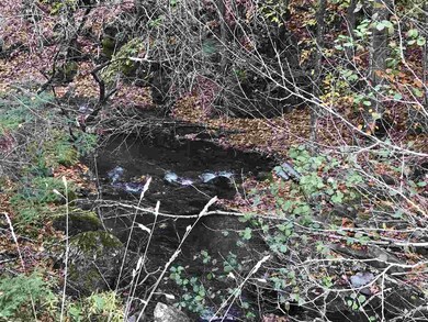 00 Mud Hollow Rd, Kirby, VT 05851 - photo 6