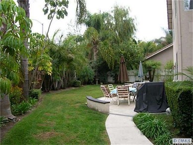 Lush Backyard