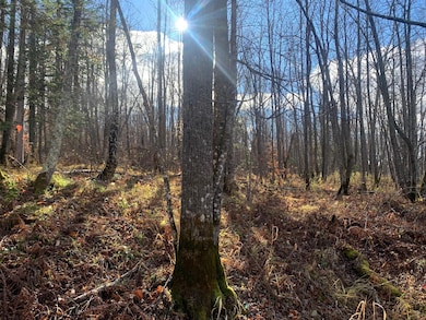 TBDxx Minnesota 65, Jacobson, MN 55752 - photo 6