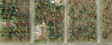 0 SW Big Bear Ridge unit MFROM707358, Dunnellon, FL 34432 - photo 5