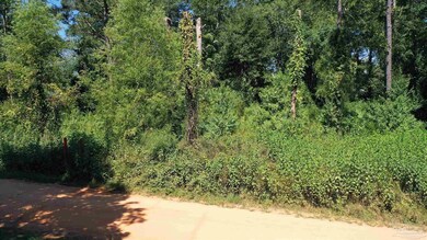 0 Eureka Landing Rd unit 669712, Uriah, AL 36480 - photo 2