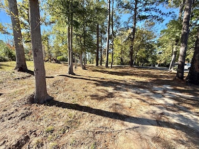 449 Eastwood Loop, Hemphill, TX 75948 - photo 7