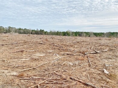 000 Maggie Johnson Rd, Tylertown, MS 39667 - photo 6