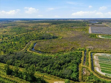 22305 Shoults Gr, Immokalee, FL 34142 - photo 3