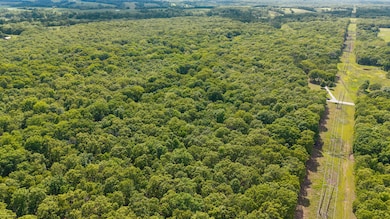 dji_20250503151117_0740_d