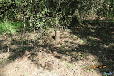 304A Riverview Dr, Grant, AL 35747 - photo 3