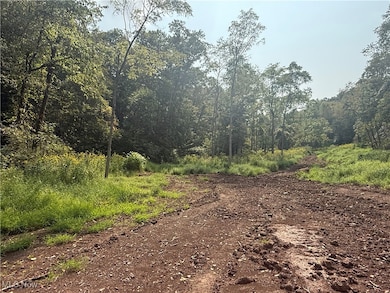 0 Buck Run Rd, Pennsboro, WV 26415 - photo 3