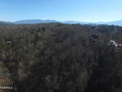 DJI_0005