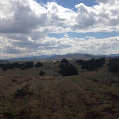 Concho - SE Views