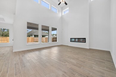 18115 Harbor Trail, Woodloch, TX 77302 - photo 3