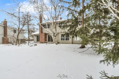 Exterior Back
